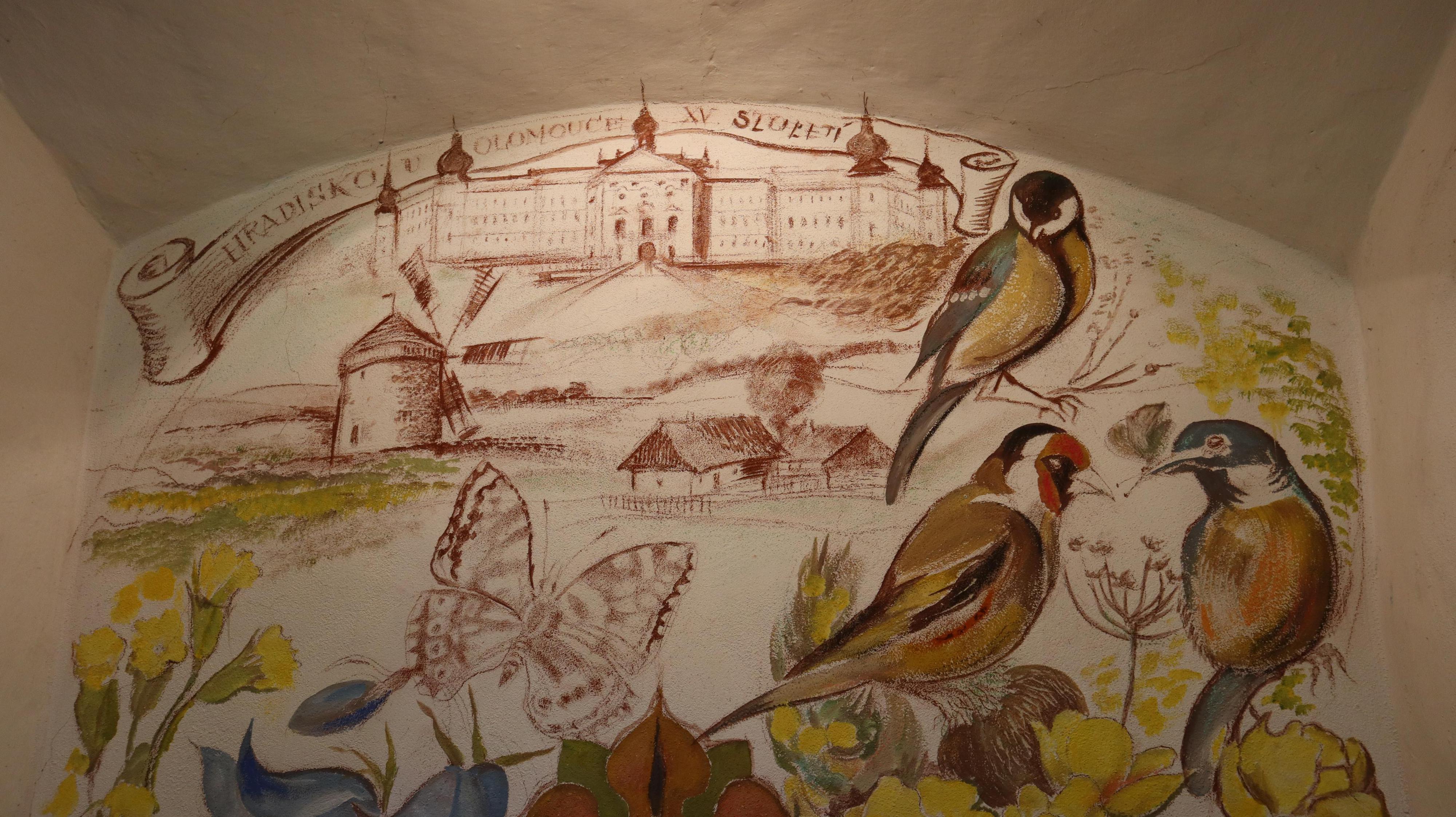 Muzeum Kořenec foto 6