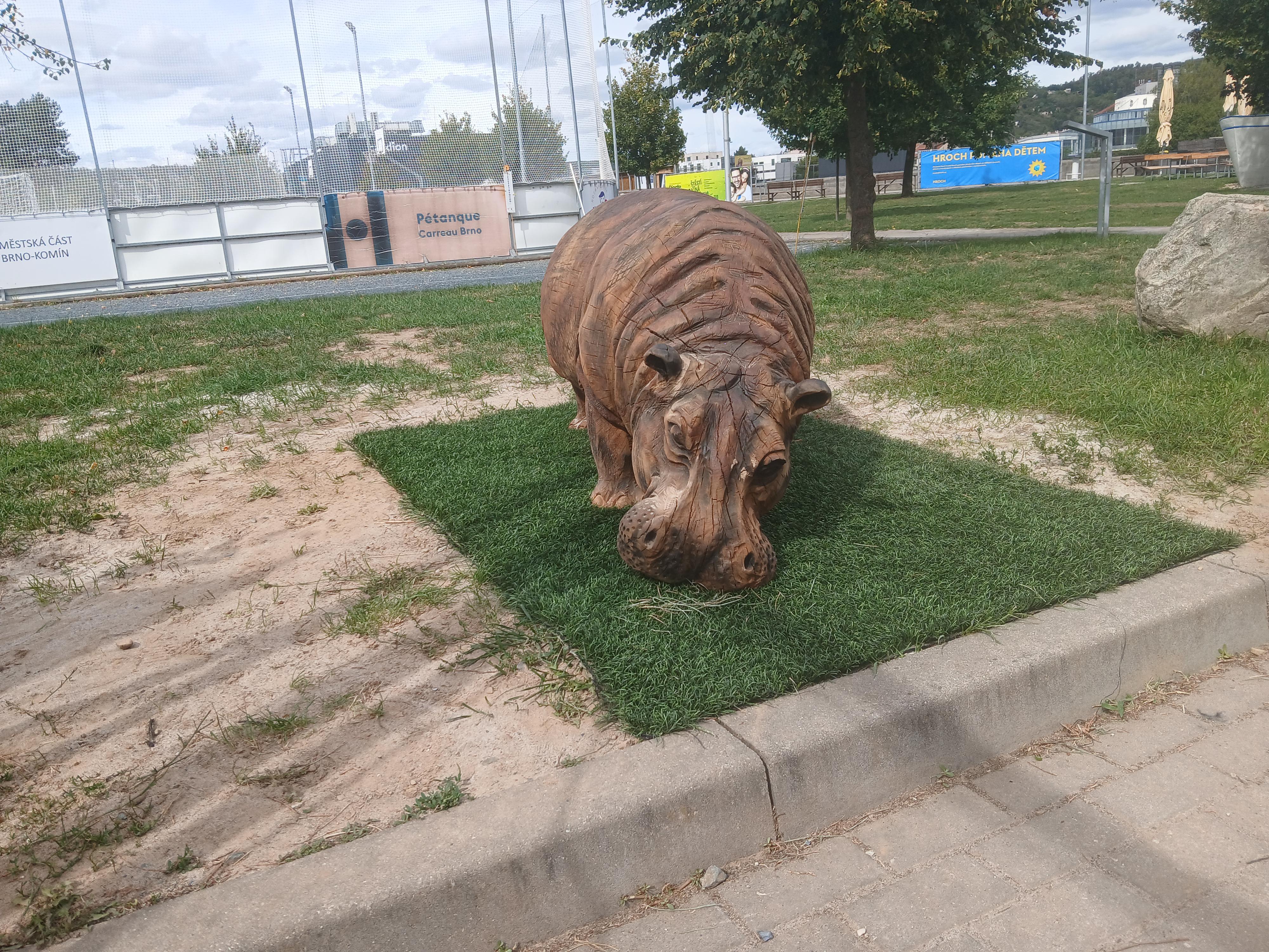 Parník HROCH foto 4