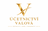 logo Ing. Adéla Valová