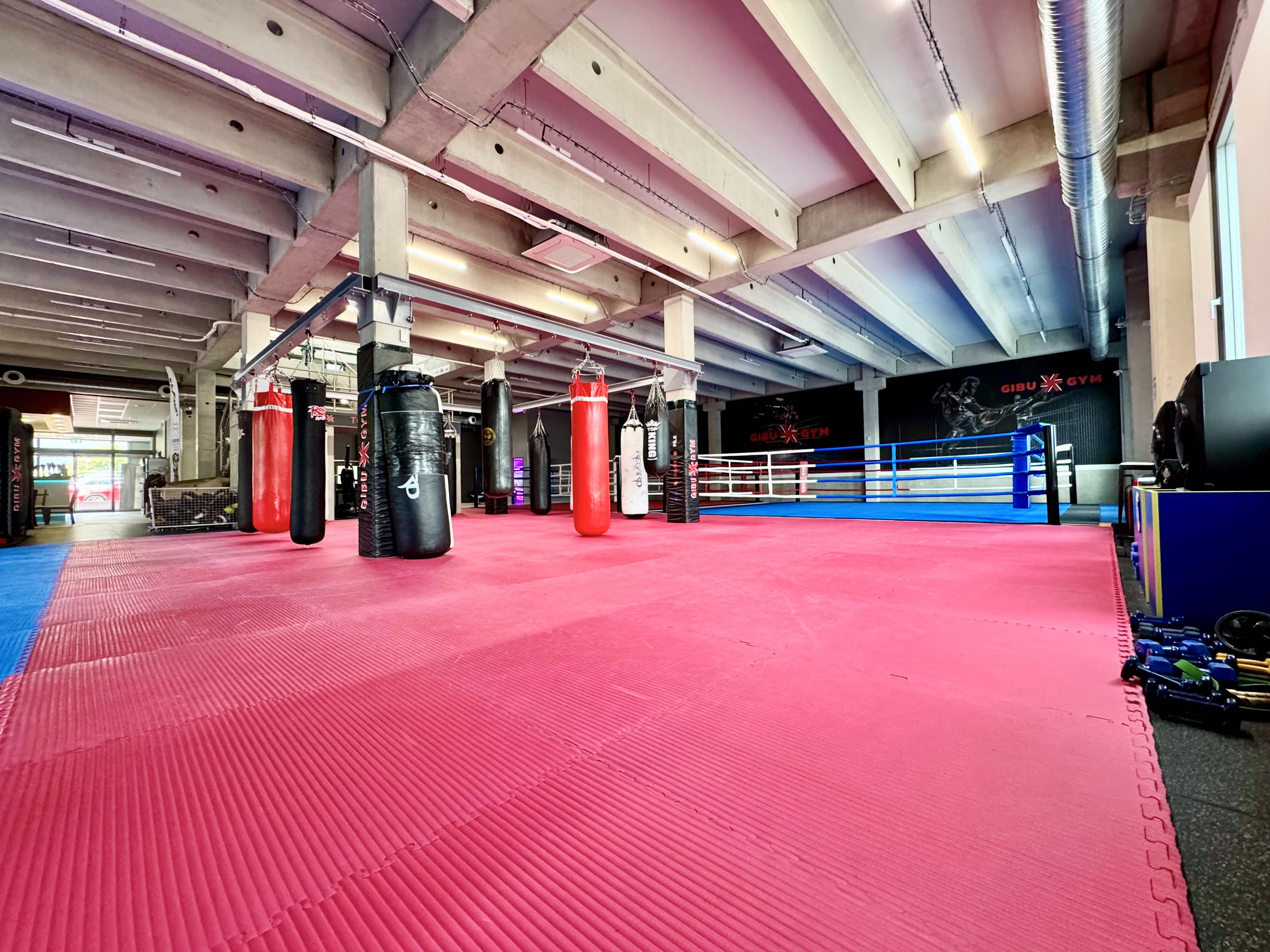 GIBU-X-GYM Fitness & Fighting Sports foto 5