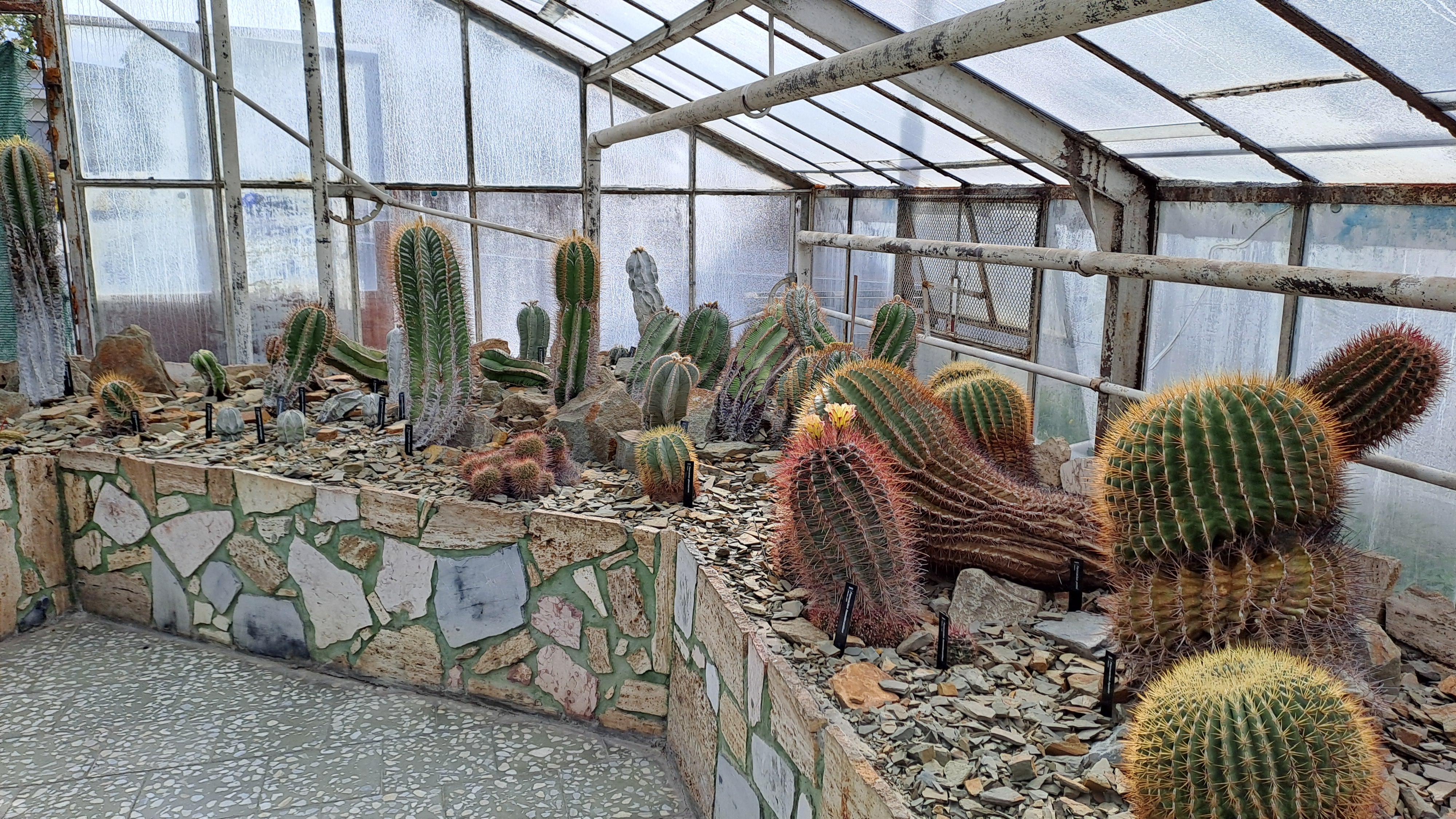 Sbírkové skleníky Výstaviště Flora Olomouc