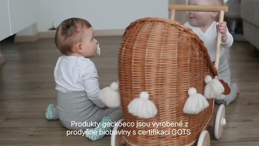 Geckoeco.cz foto 2 (náhled videa)