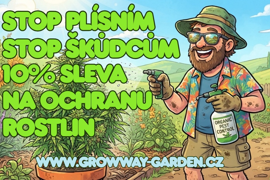 10% SLEVA