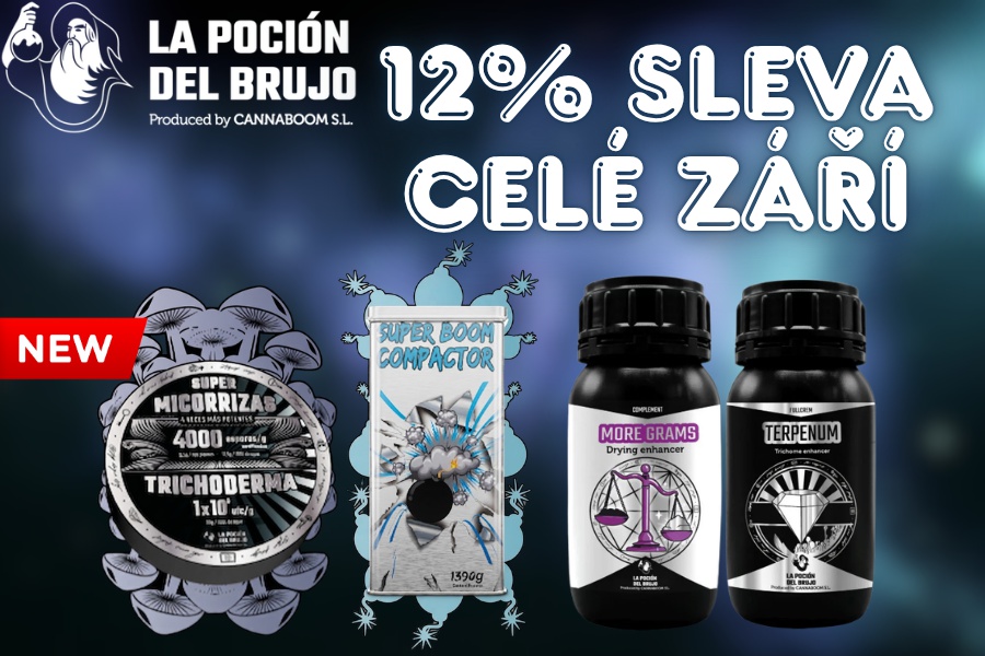 12% SLEVA