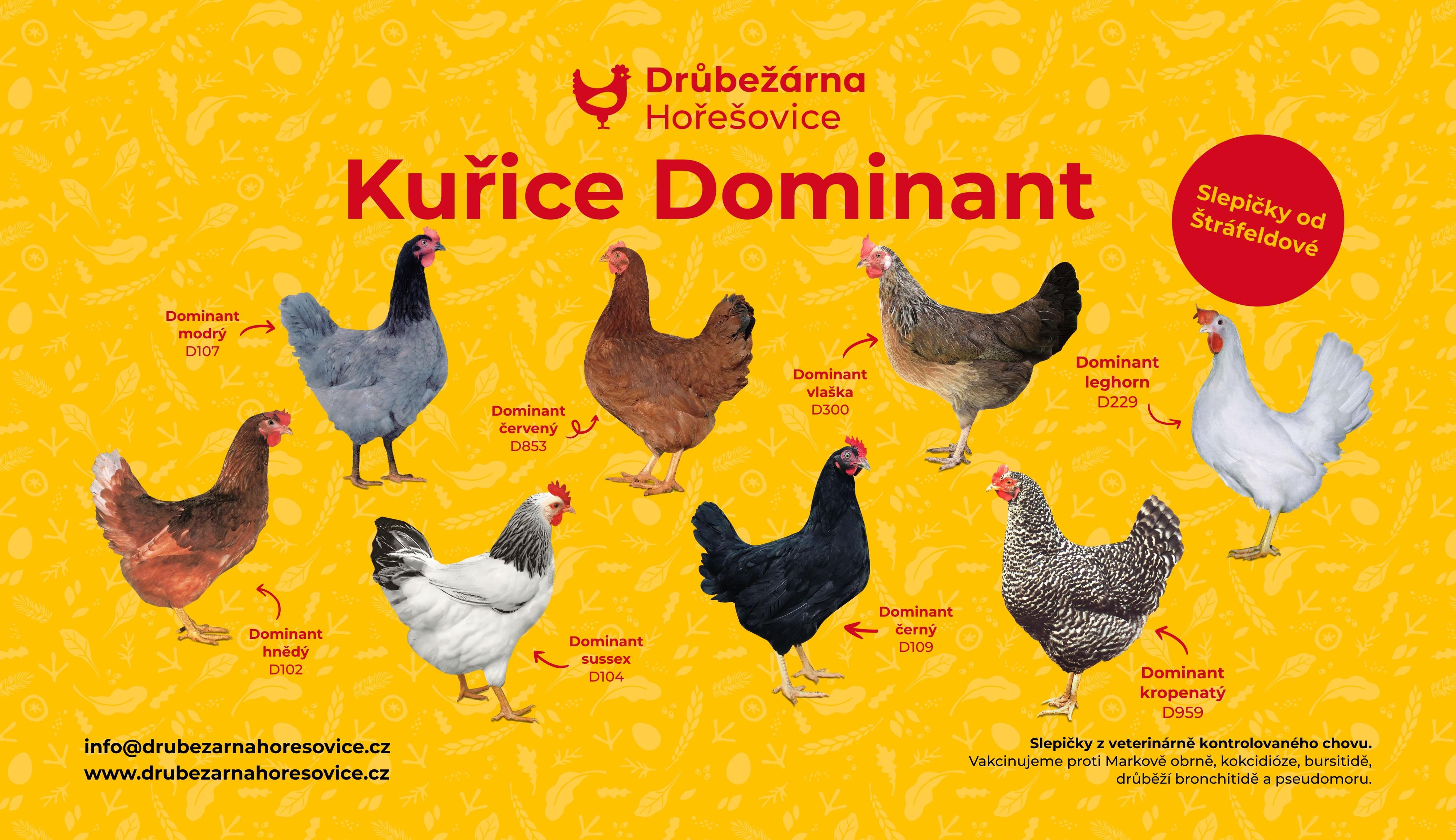 Drůbežárna Hořešovice - farma Hořešovice foto 6