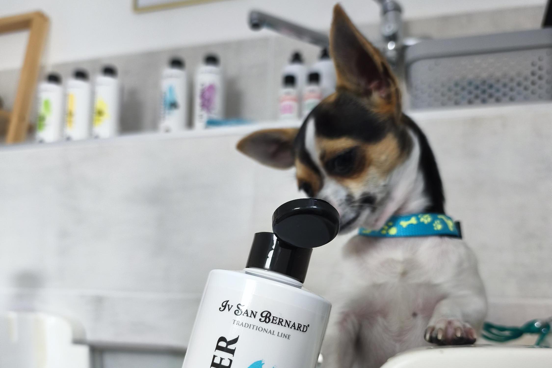 EMONY GROOMING - Psí salon  & SPA