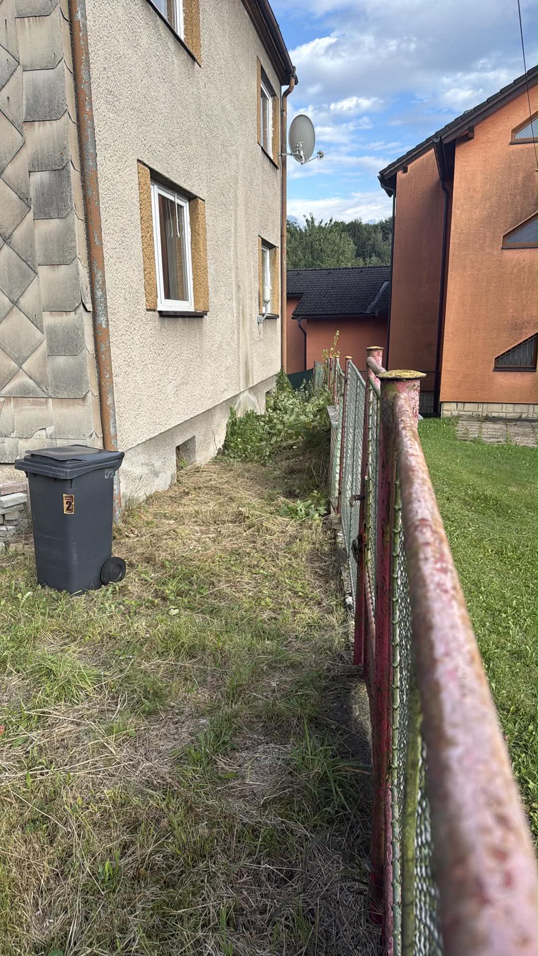 Rizikové Kácení Grutman foto 2