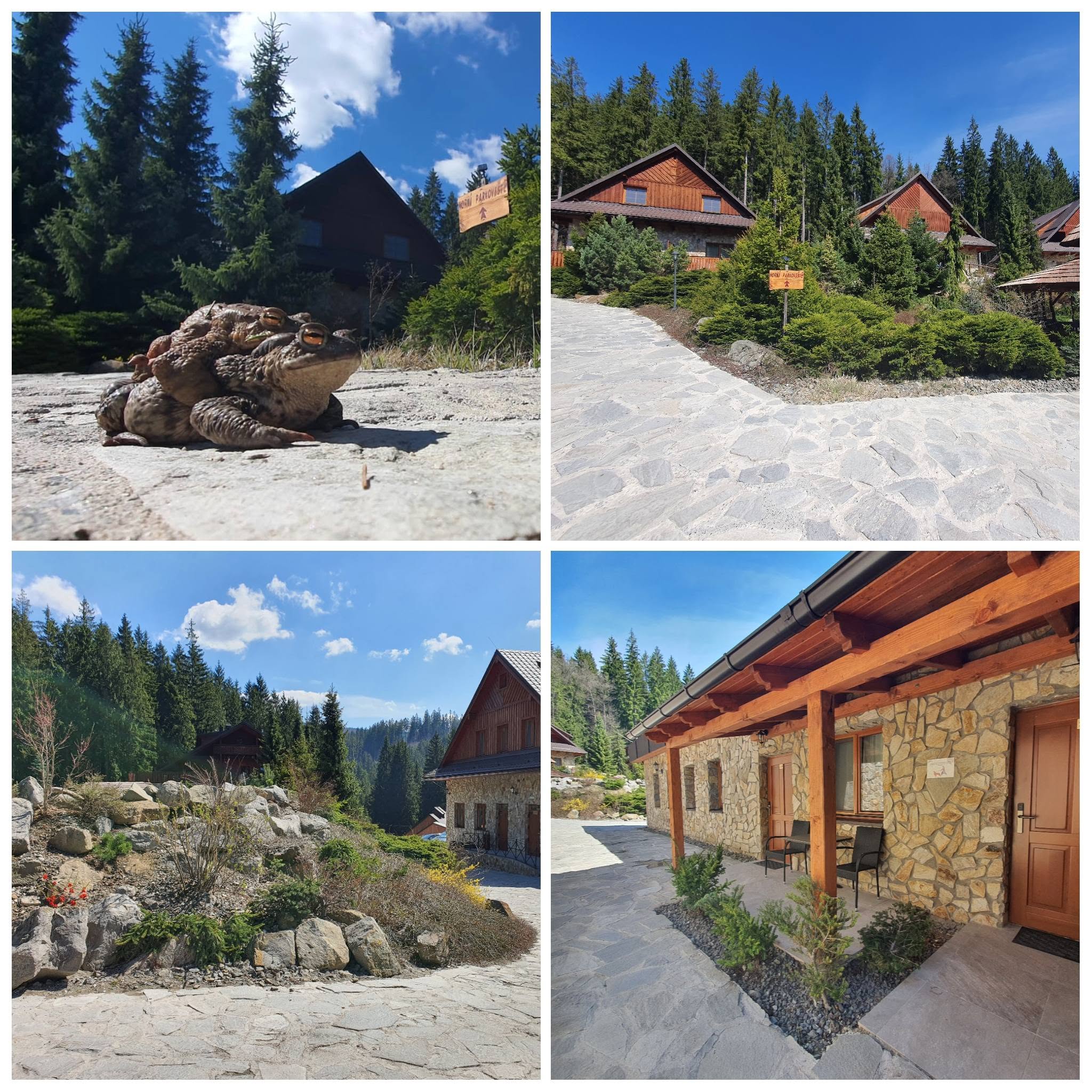 StavServis foto 5