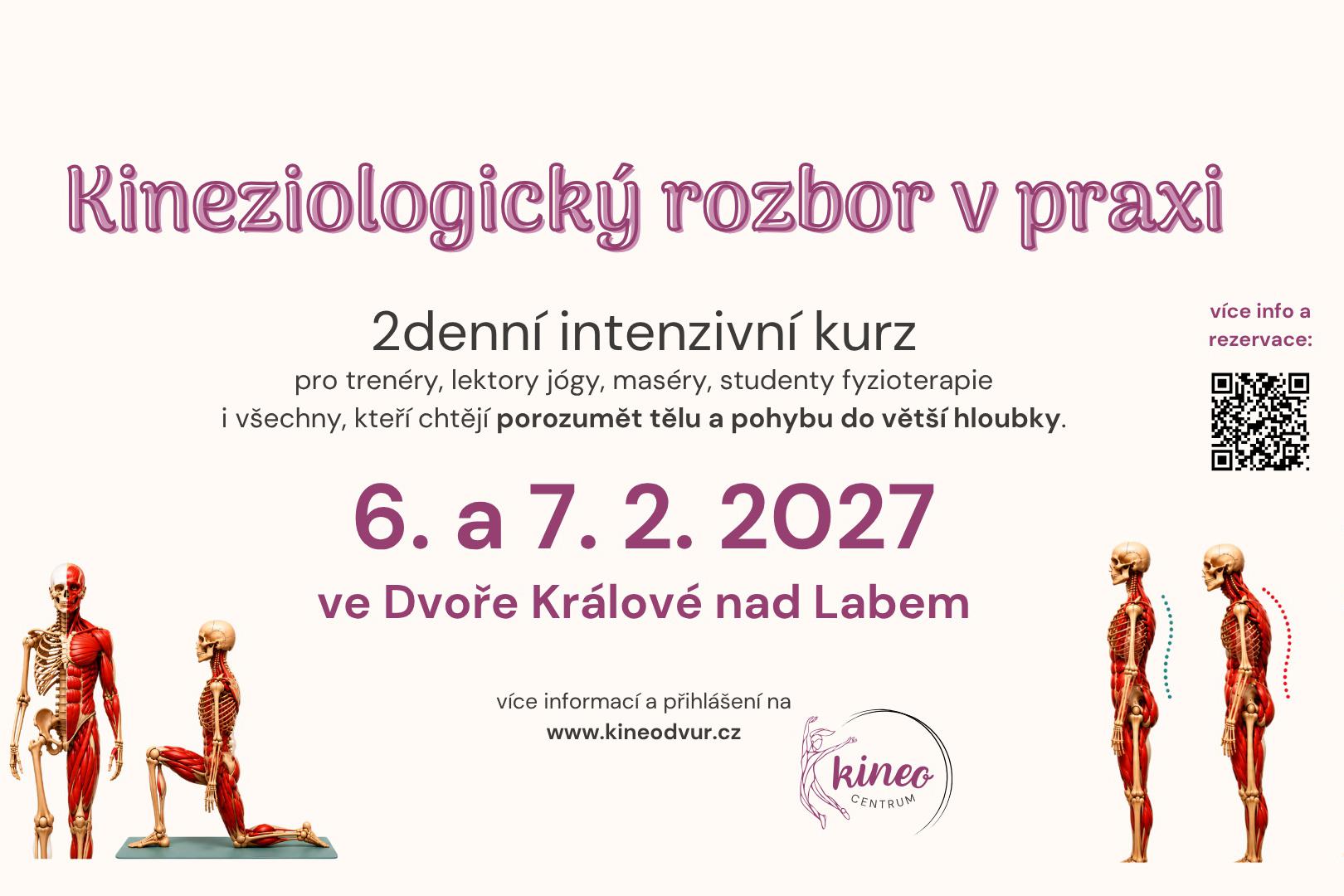 vzdělávací kurz: Kineziologický rozbor v praxi
