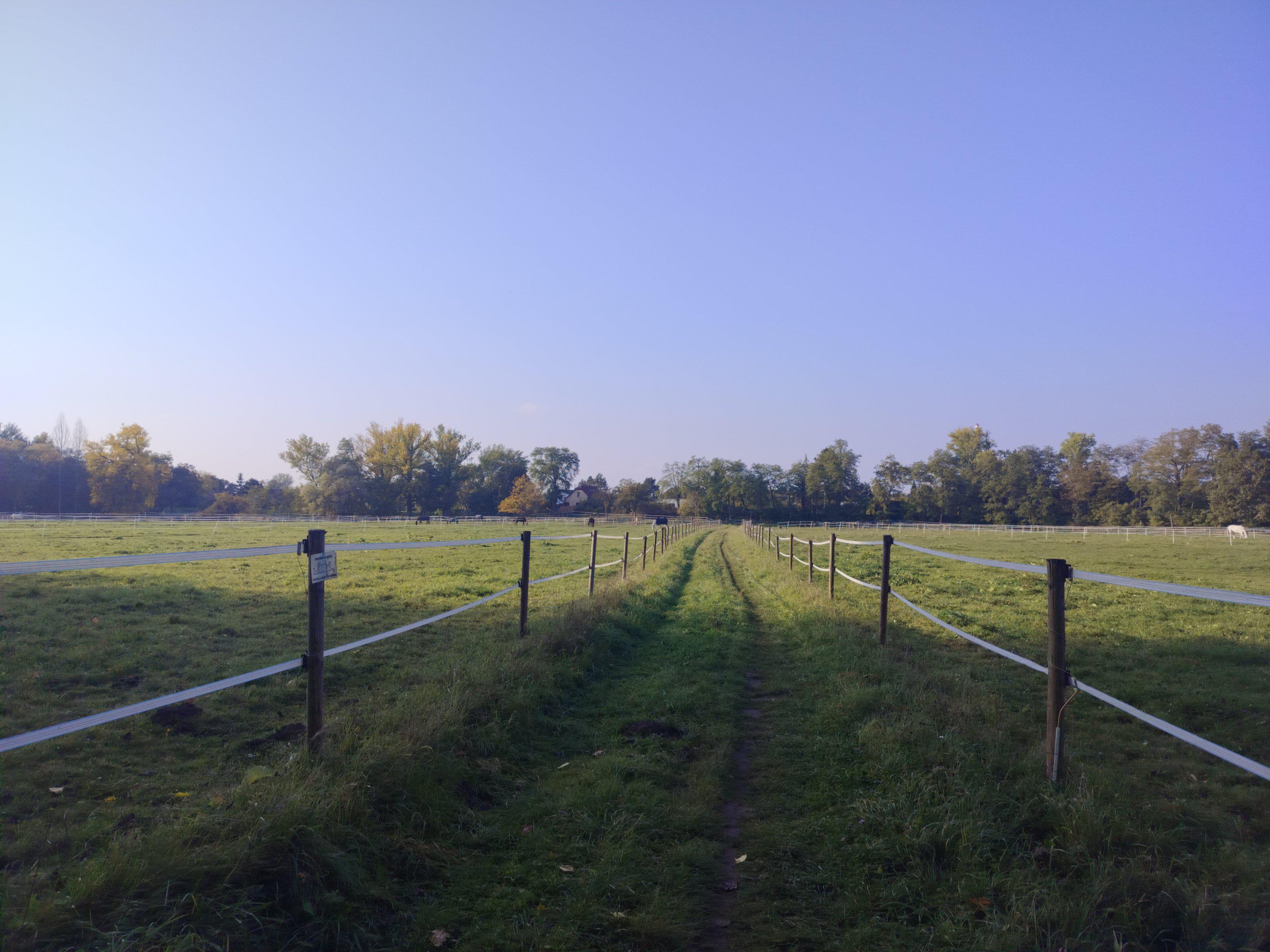 Hřebčín Mlékojedy foto 2