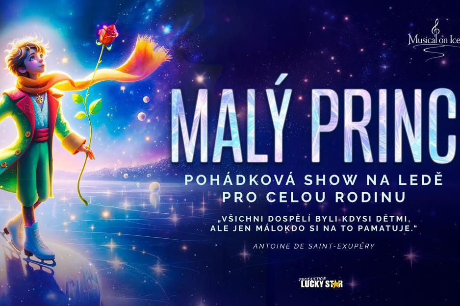 Malý princ na ledě