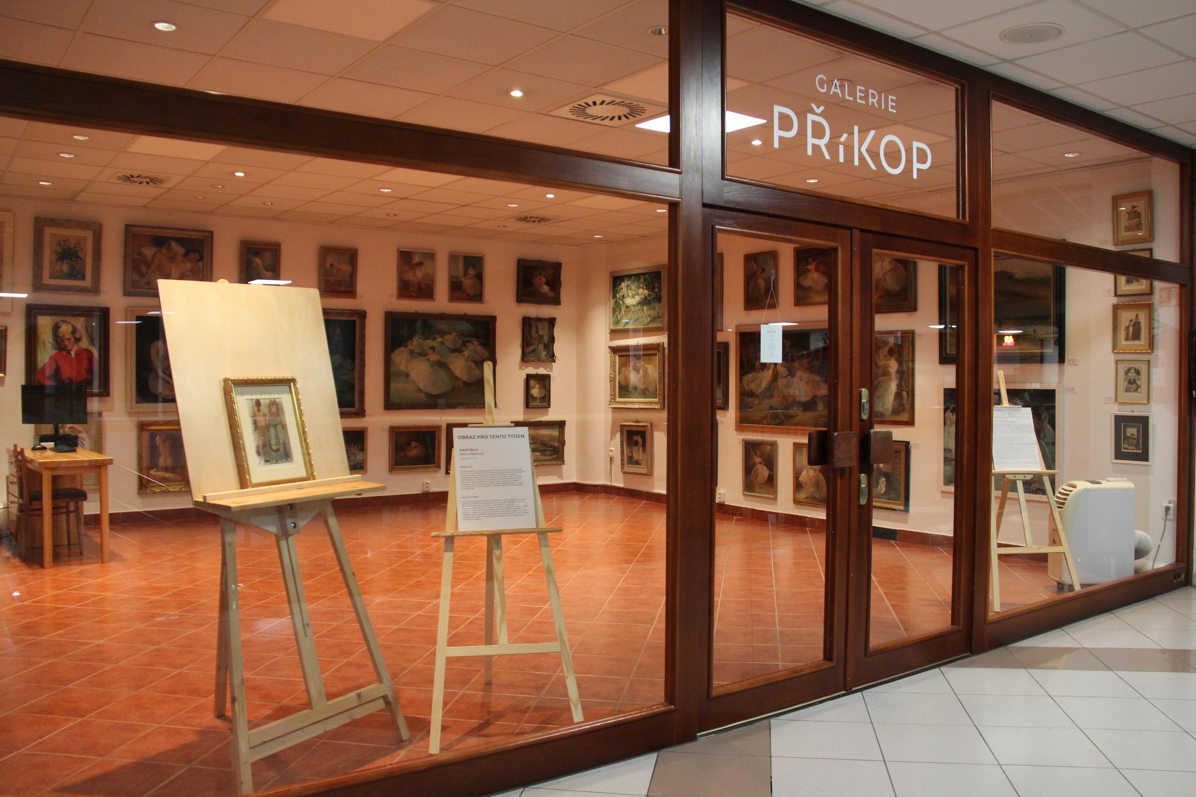 Galerie Příkop
