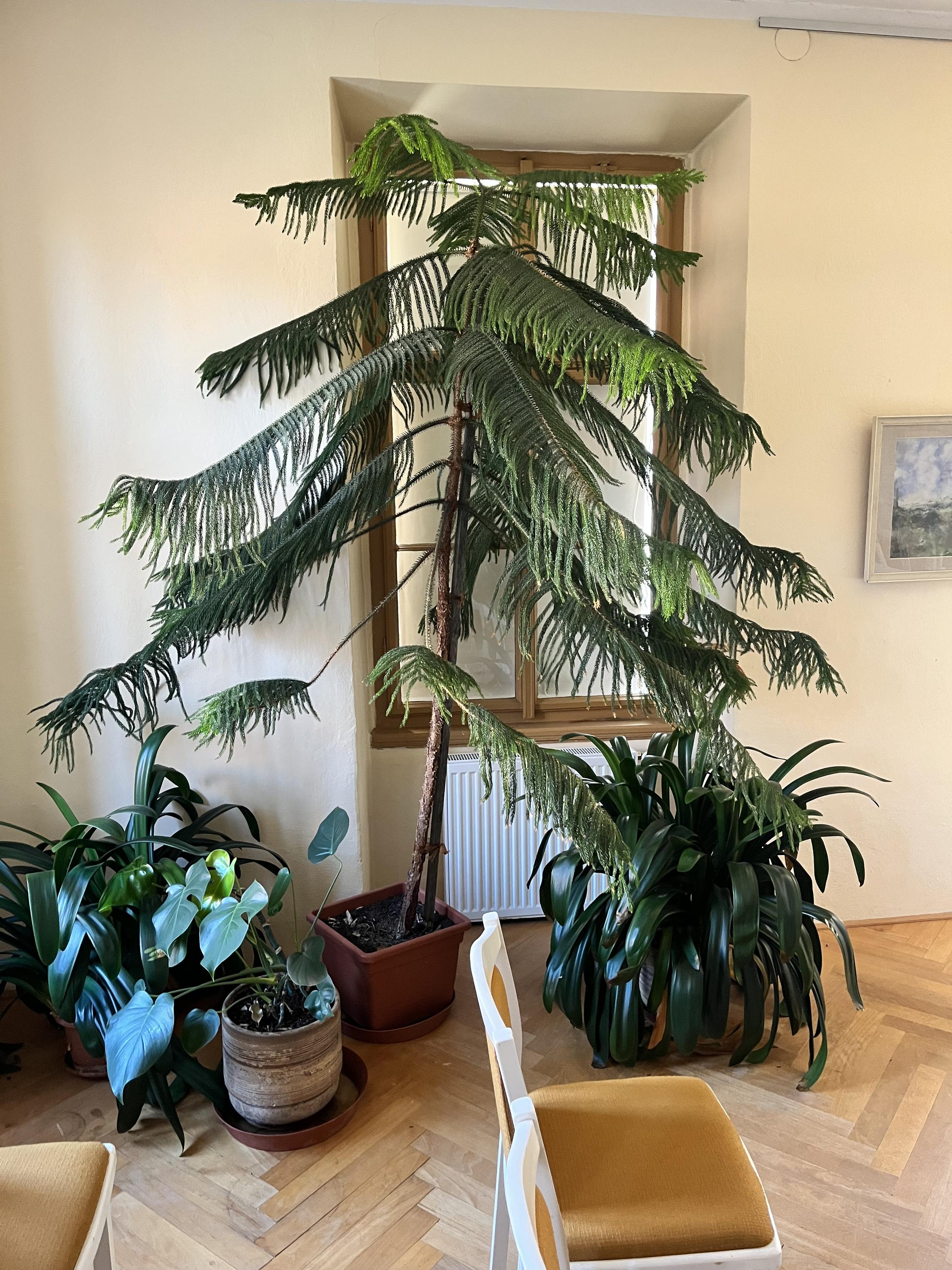 Městské muzeum a galerie Polička foto 3