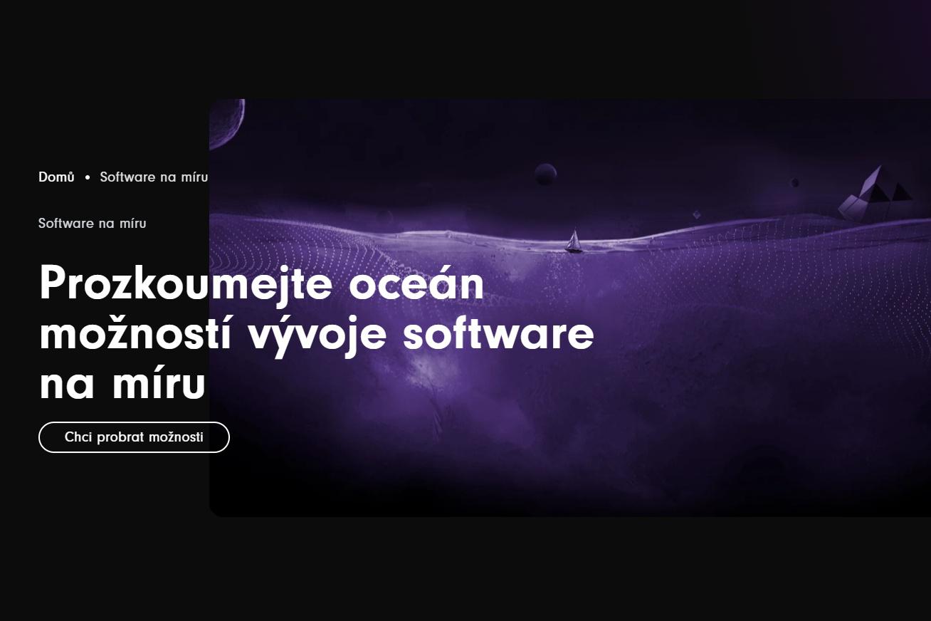 Vývoj software na míru