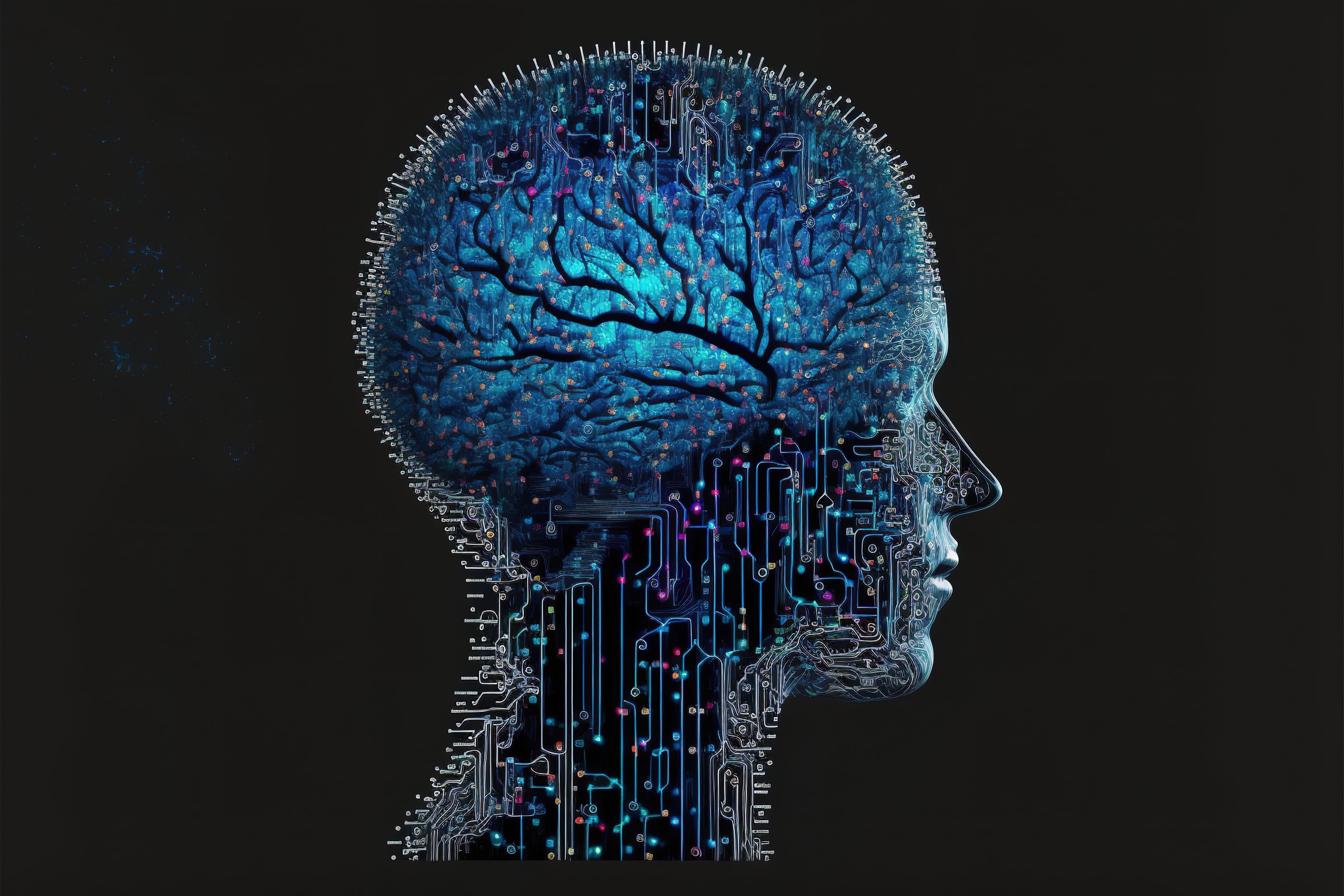 kurz NLP Practitioner