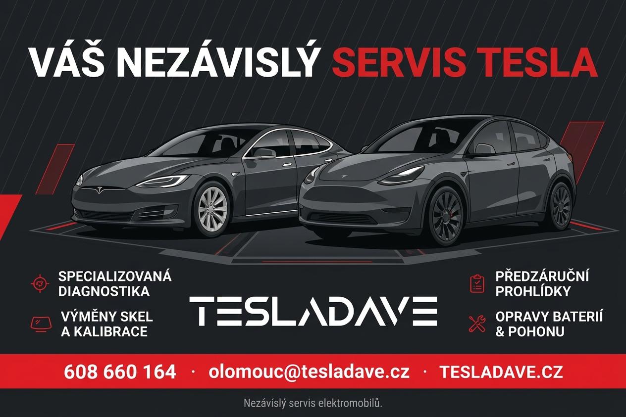 TESLADAVE