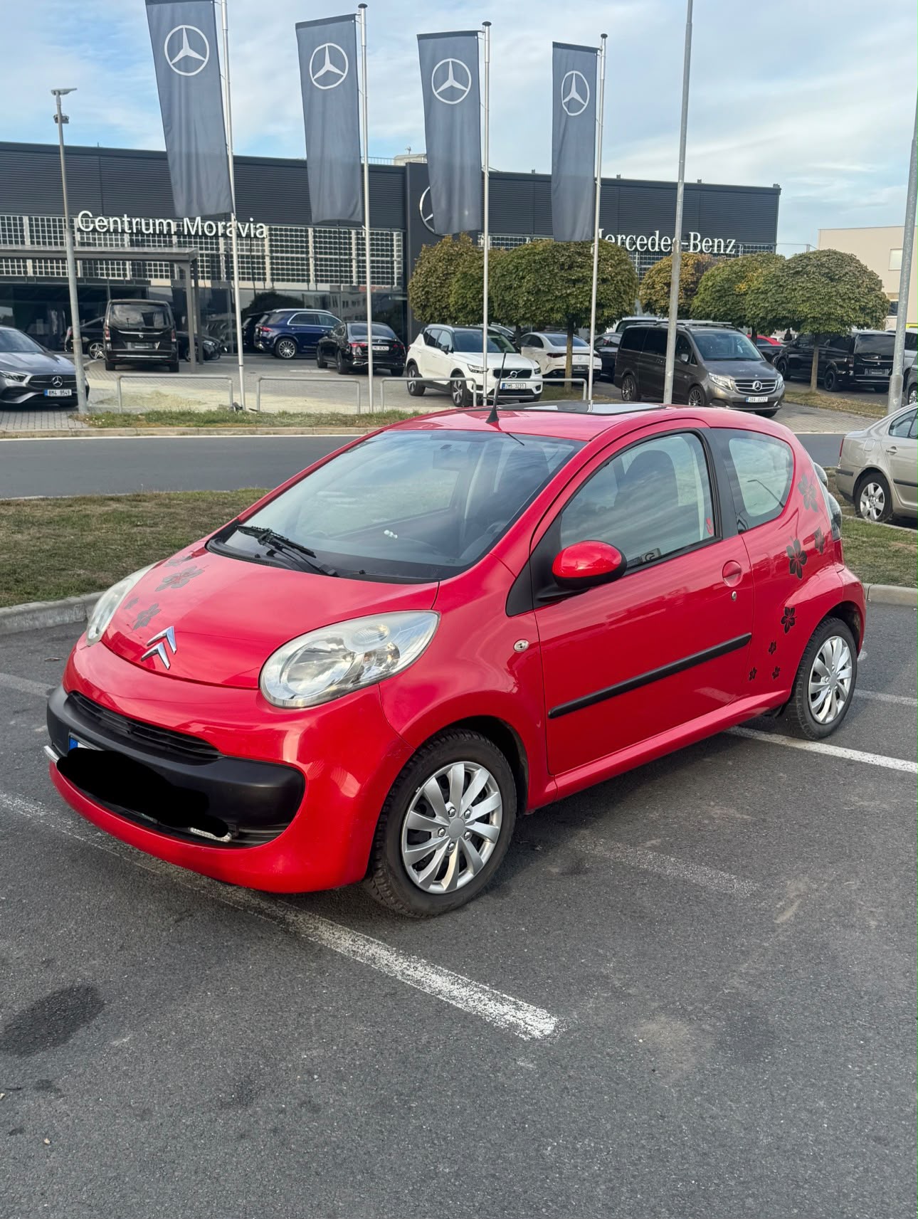 OL CAR RENT foto 3