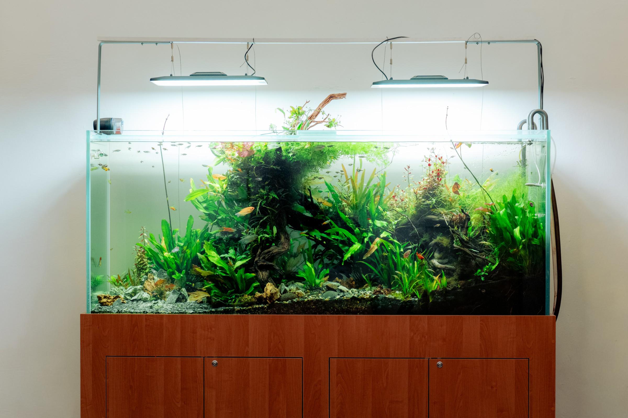 DurgoAqua