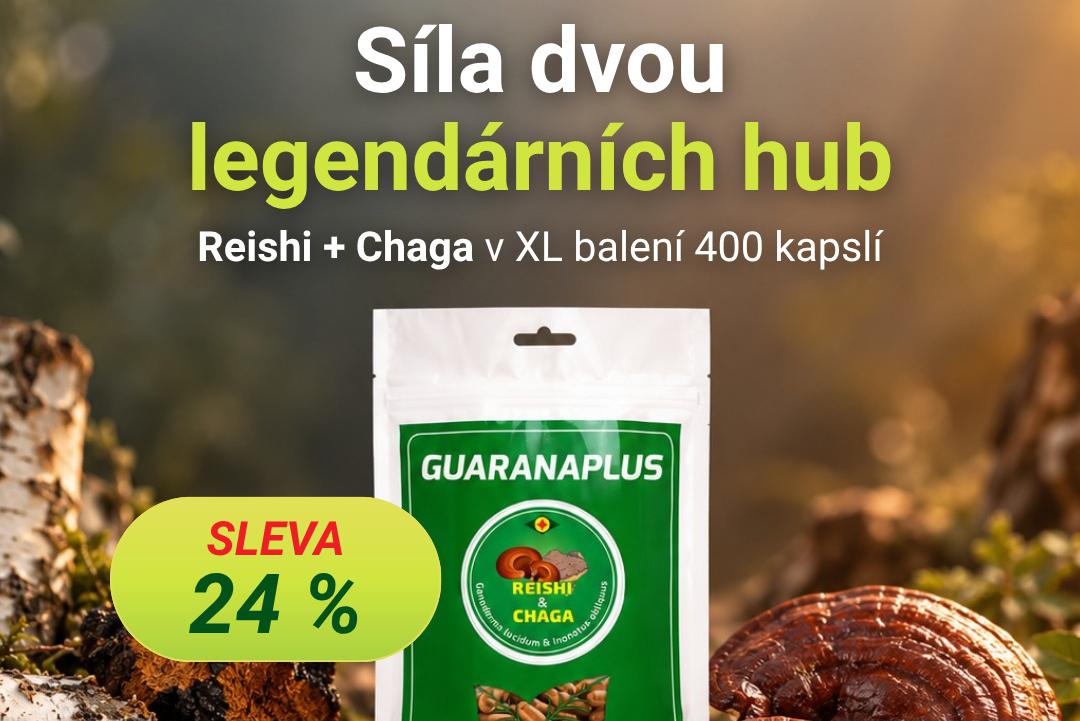Reishi - hoba dlouhověkosti.