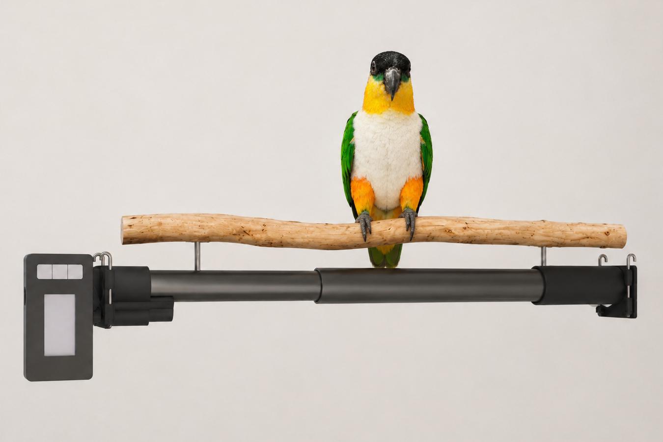 LORO SYSTEMS