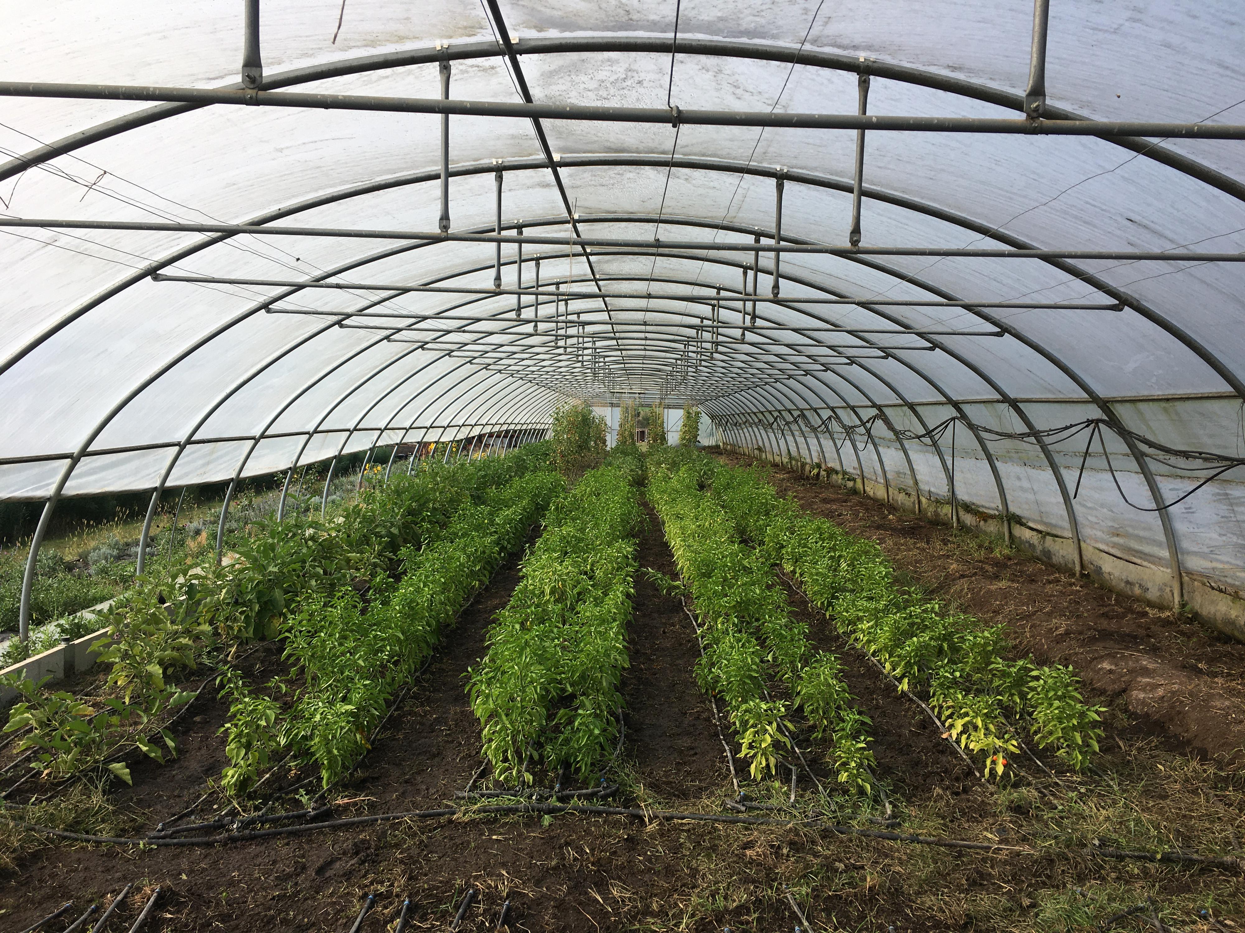 Farmářská škola - Vyšší odborná škola ekologického zemědělství foto 1