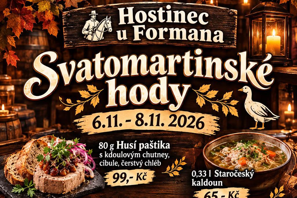 Svatomartinské Husy