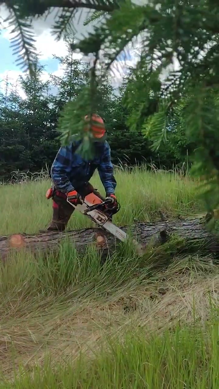 drevotezba.cz foto 2 (náhled videa)