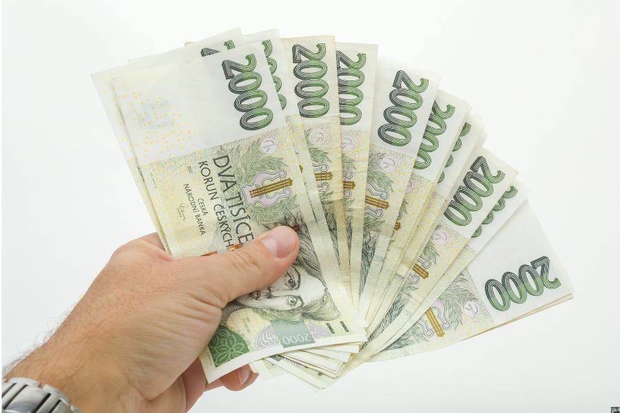 Záloha na kupní cenu až 65%