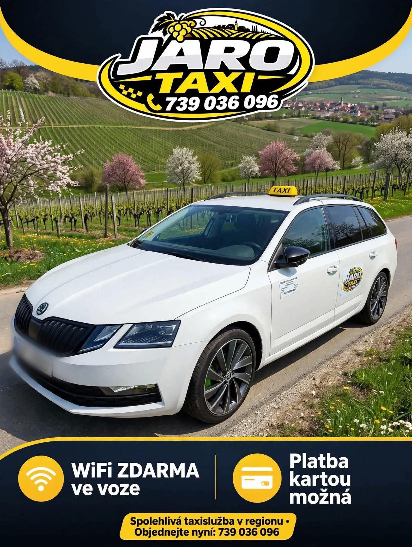 Václav Pitauer - MIROTAXI foto 2