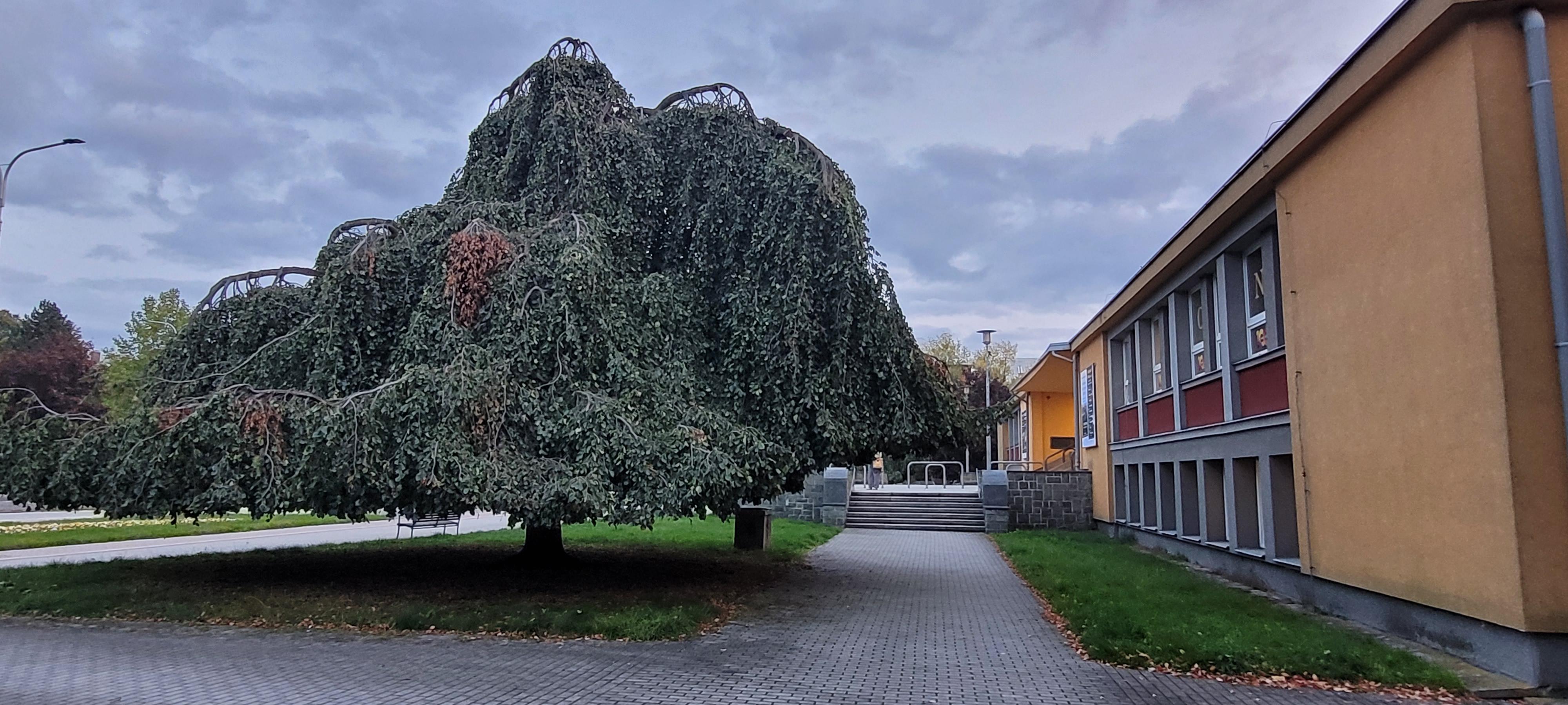 Městský dům kultury Karviná foto 3