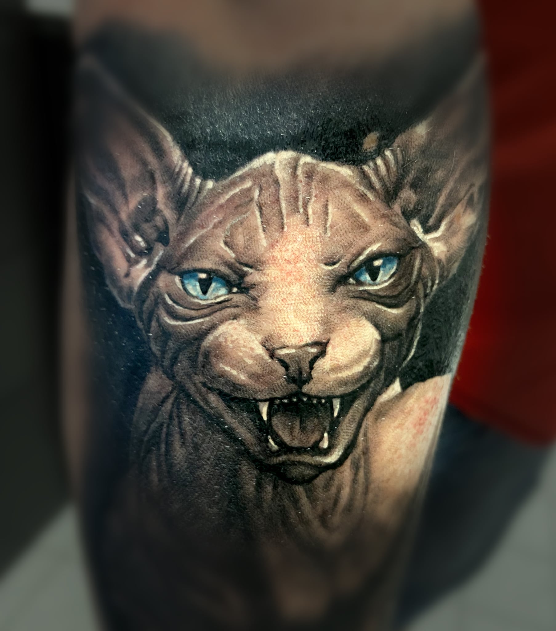 Rebel Tattoo foto 3