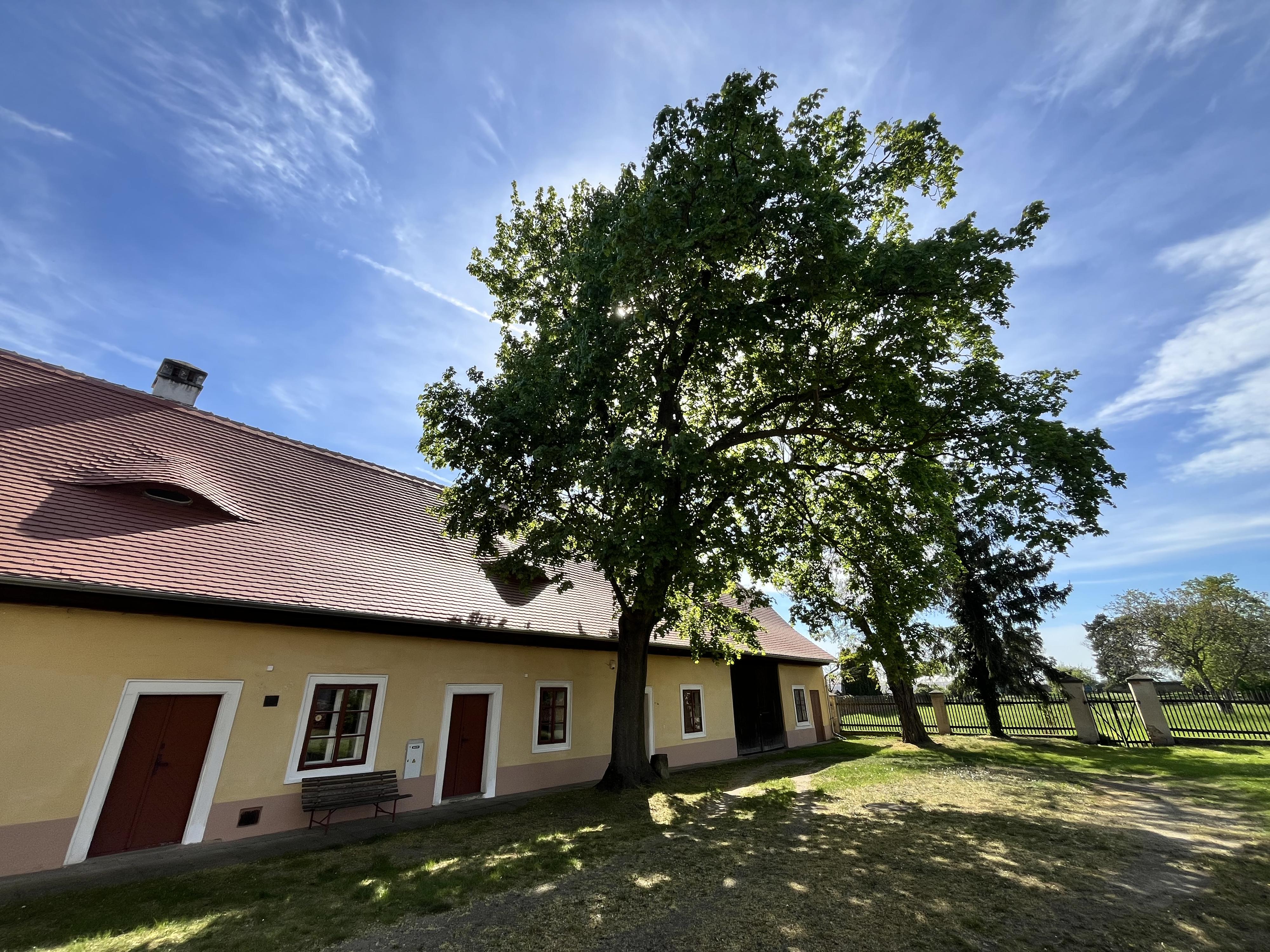 Památník Bedřicha Smetany foto 3