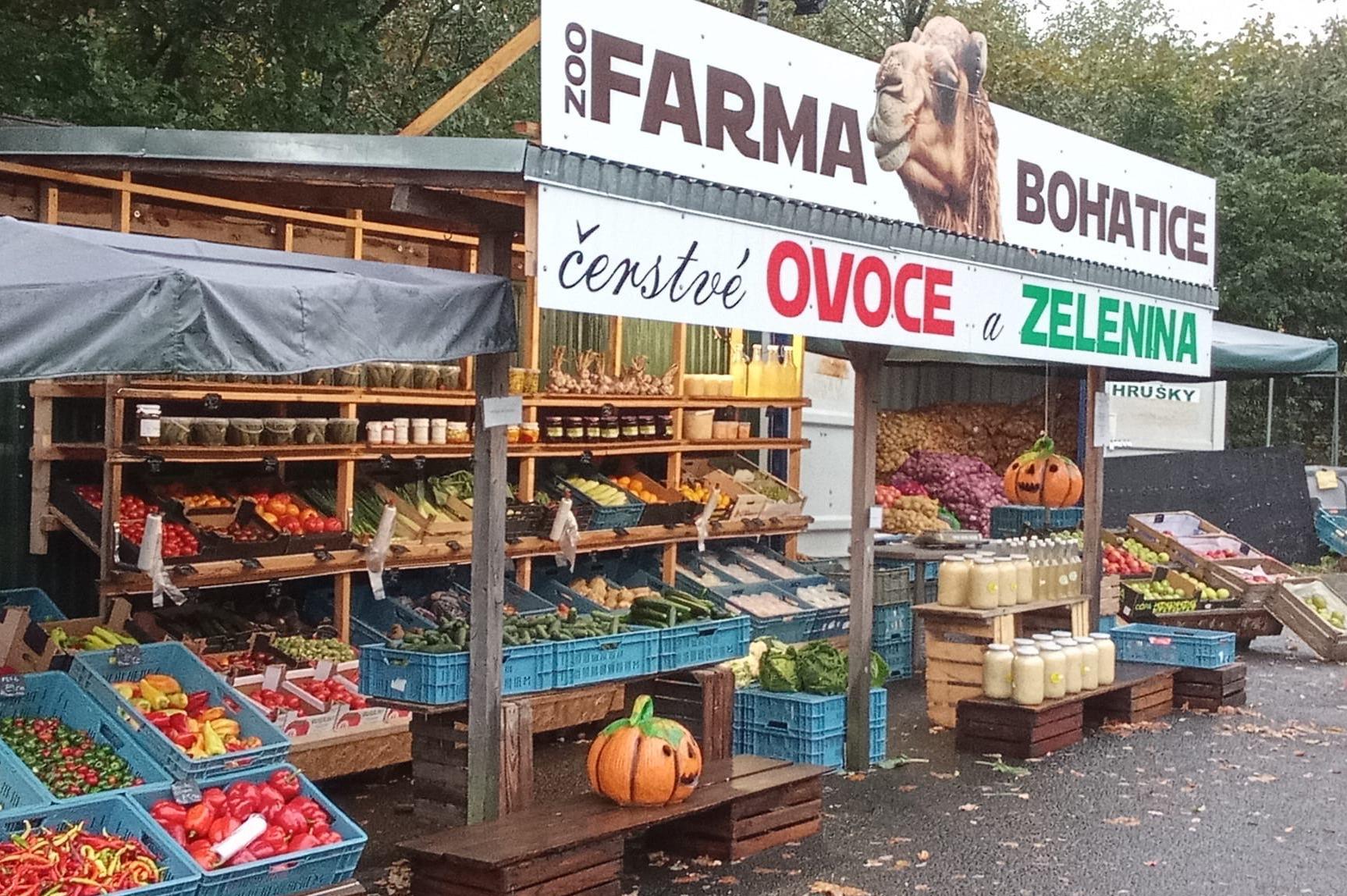 Ovoce a zelenina Lada Česká Lípa