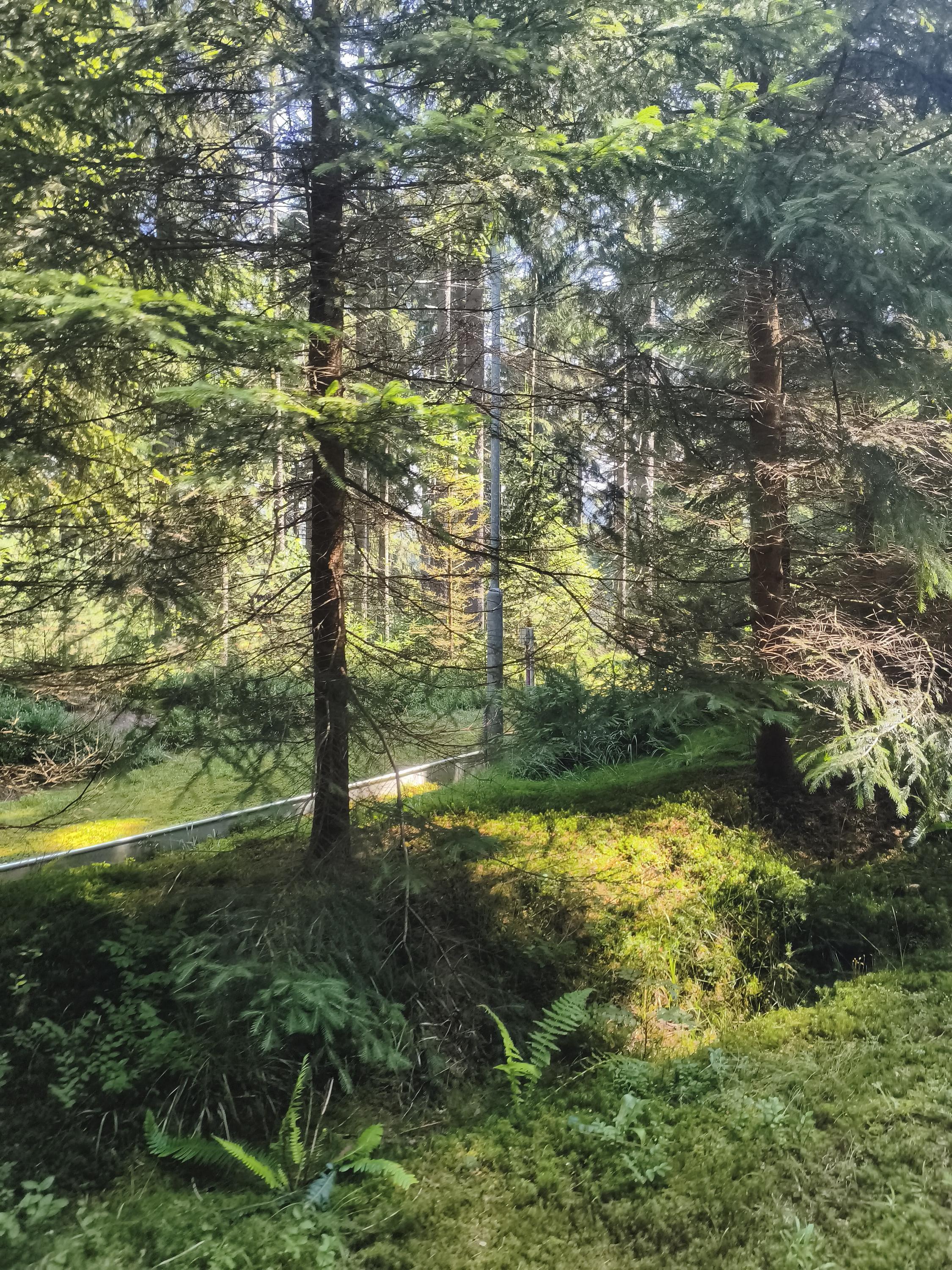 BOBOVÁ DRÁHA HARRACHOV foto 5