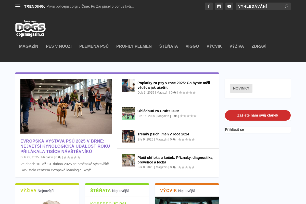 Dogsmagazin.cz