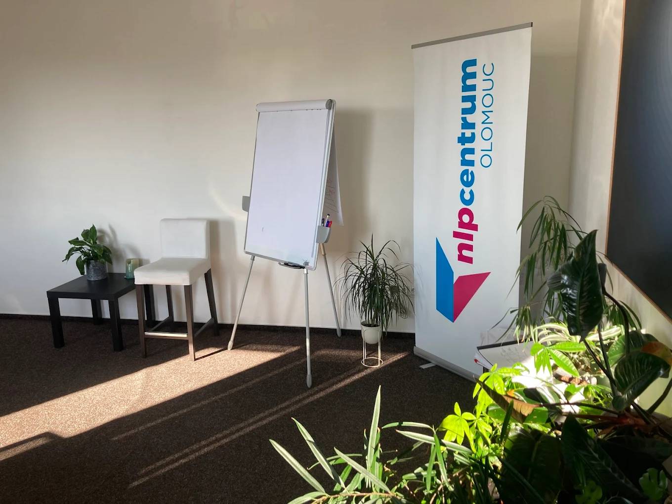 NLP centrum Olomouc