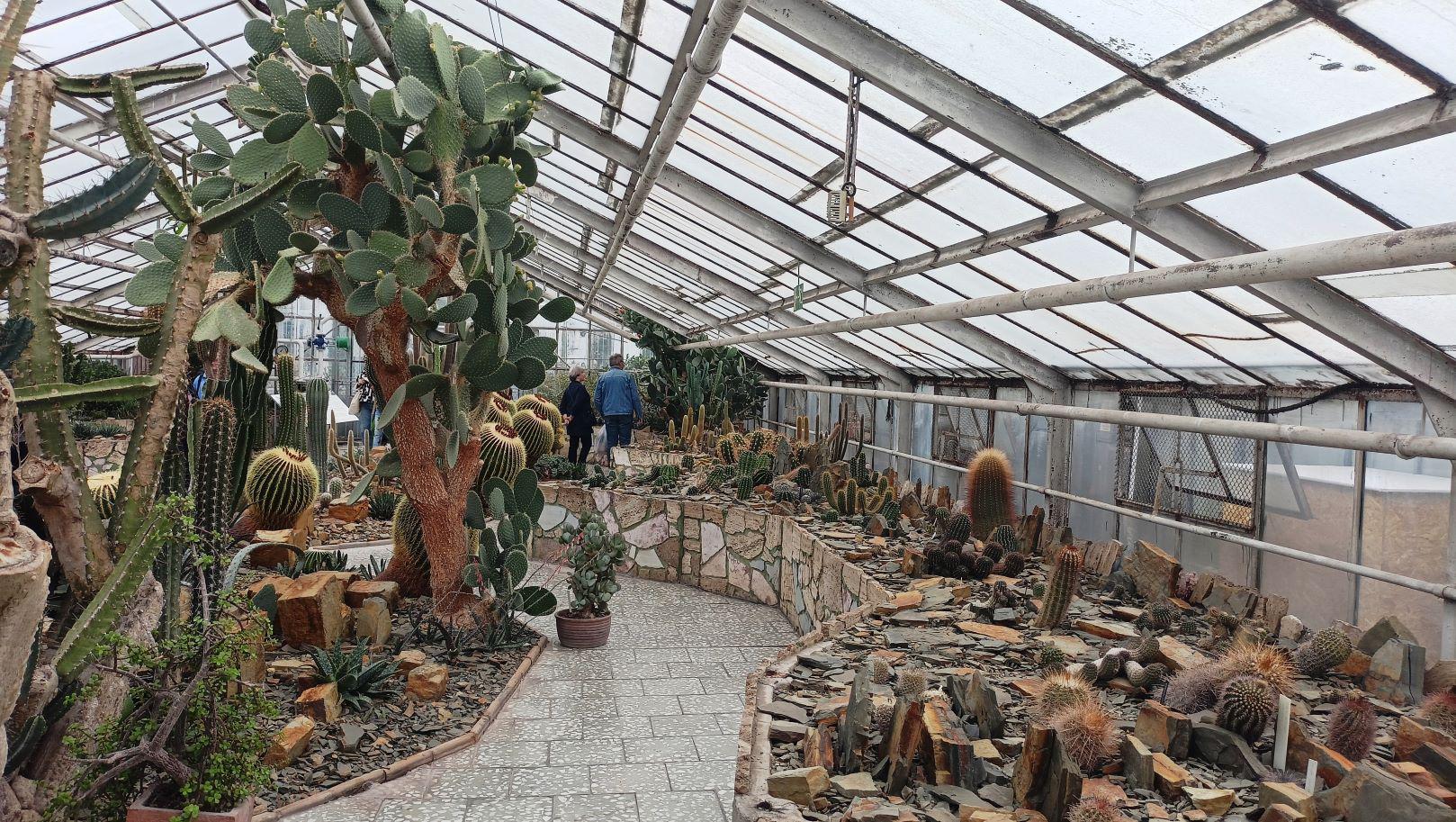 Sbírkové skleníky Výstaviště Flora Olomouc foto 6