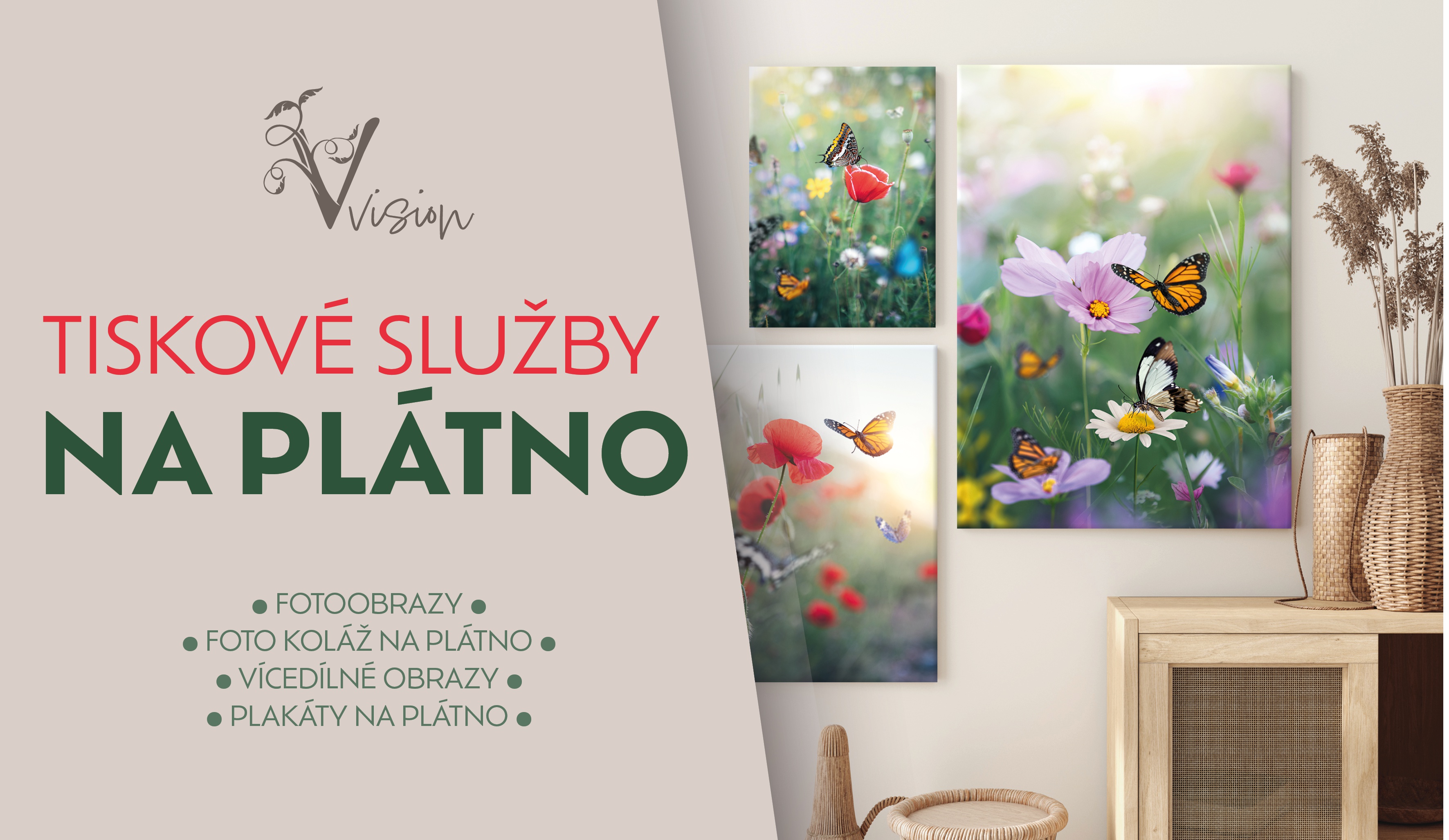 Vvision.cz foto 2