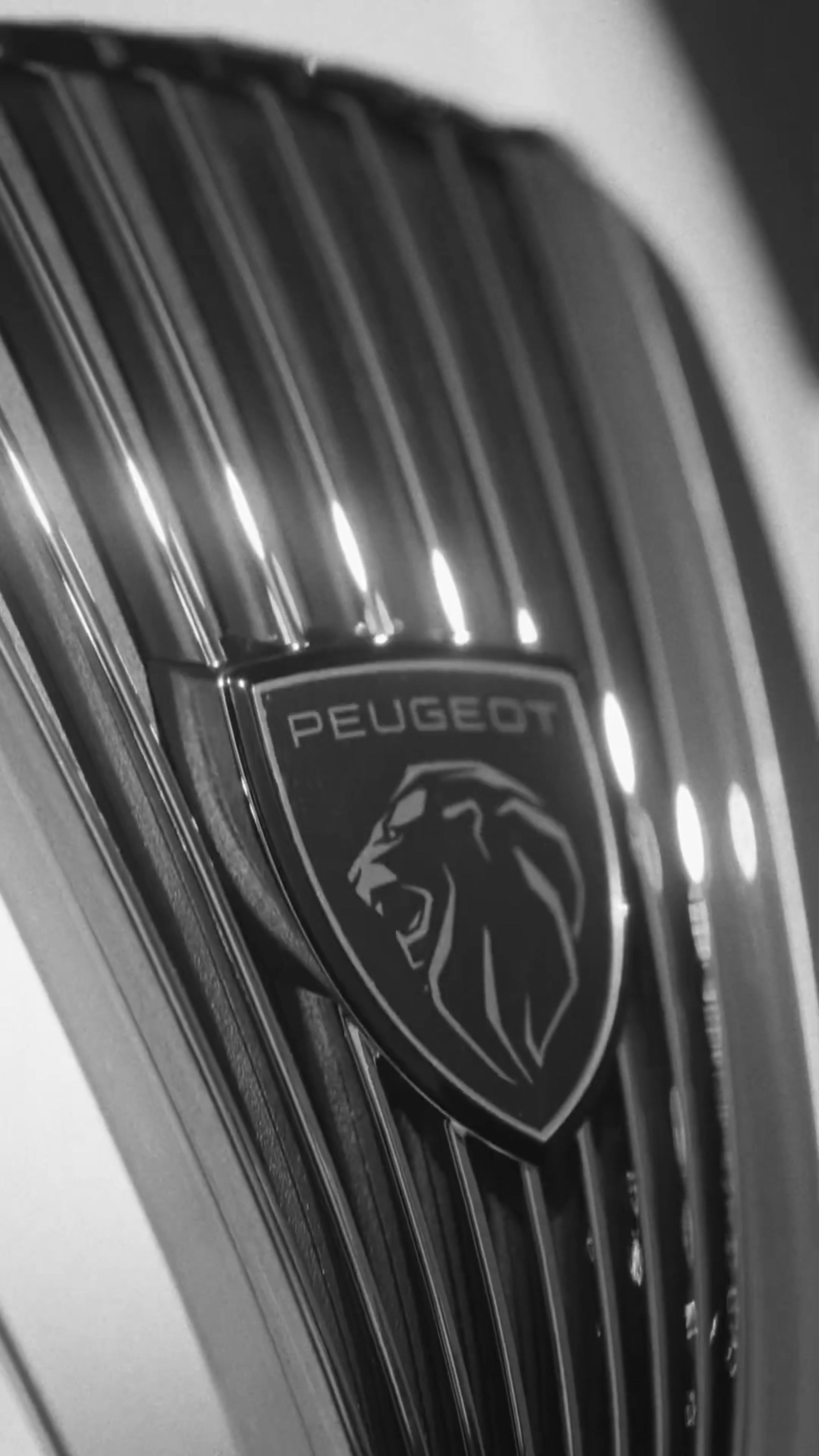 Peugeot-motocycles.cz foto 2 (náhled videa)