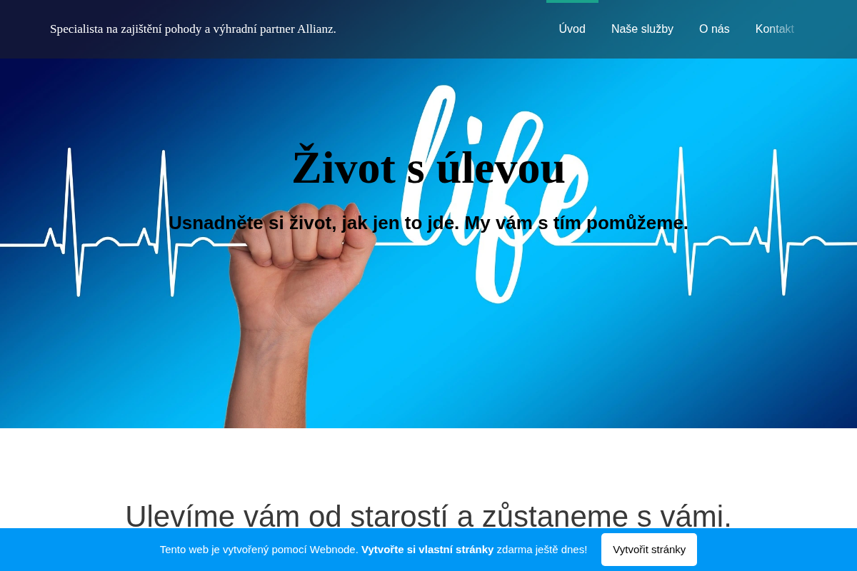 Kateřina Kitlerová, Allianz finanční služby
