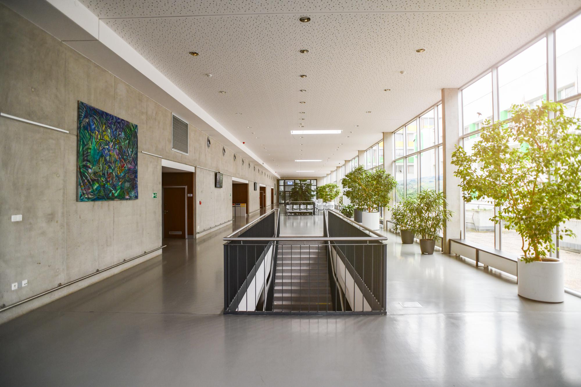 ČZU - Fakulta životního prostředí foto 1
