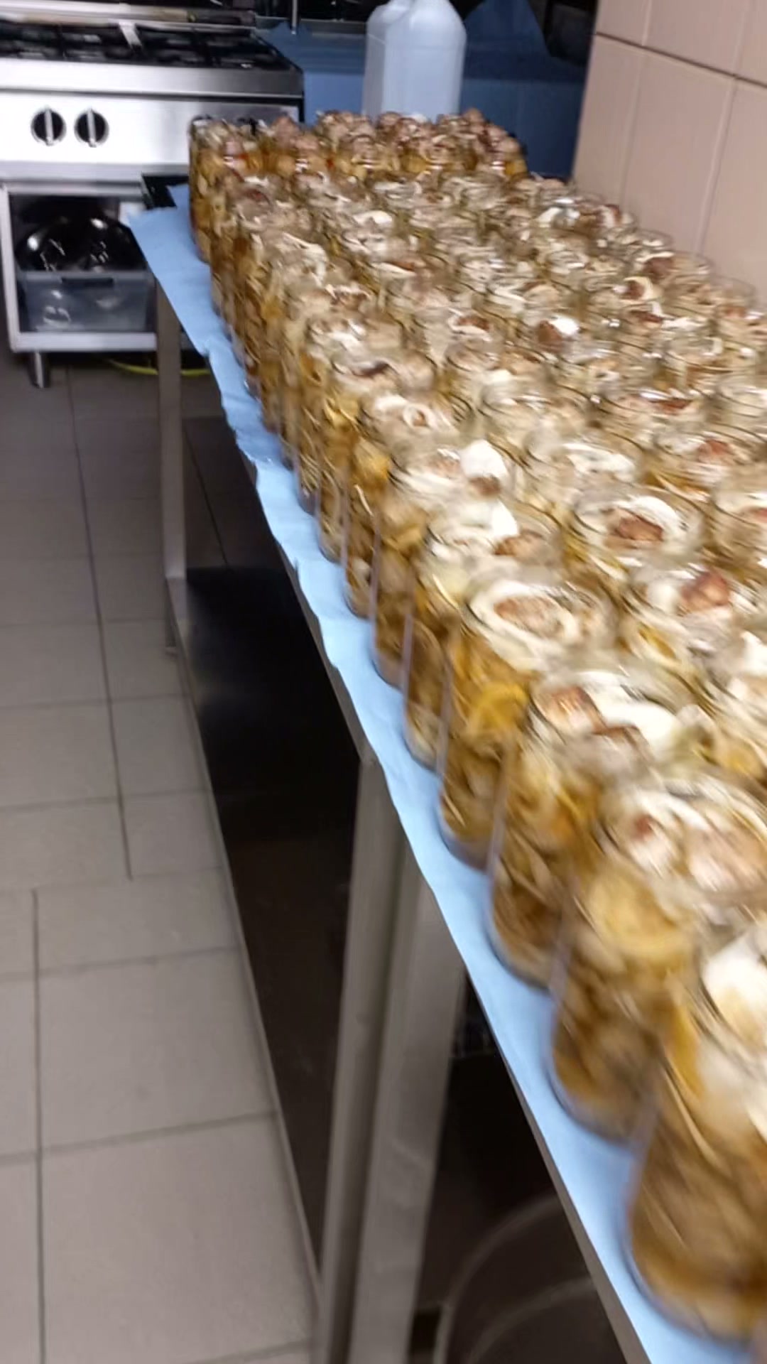 Rybí karbanátky - DeliFish foto 2 (náhled videa)