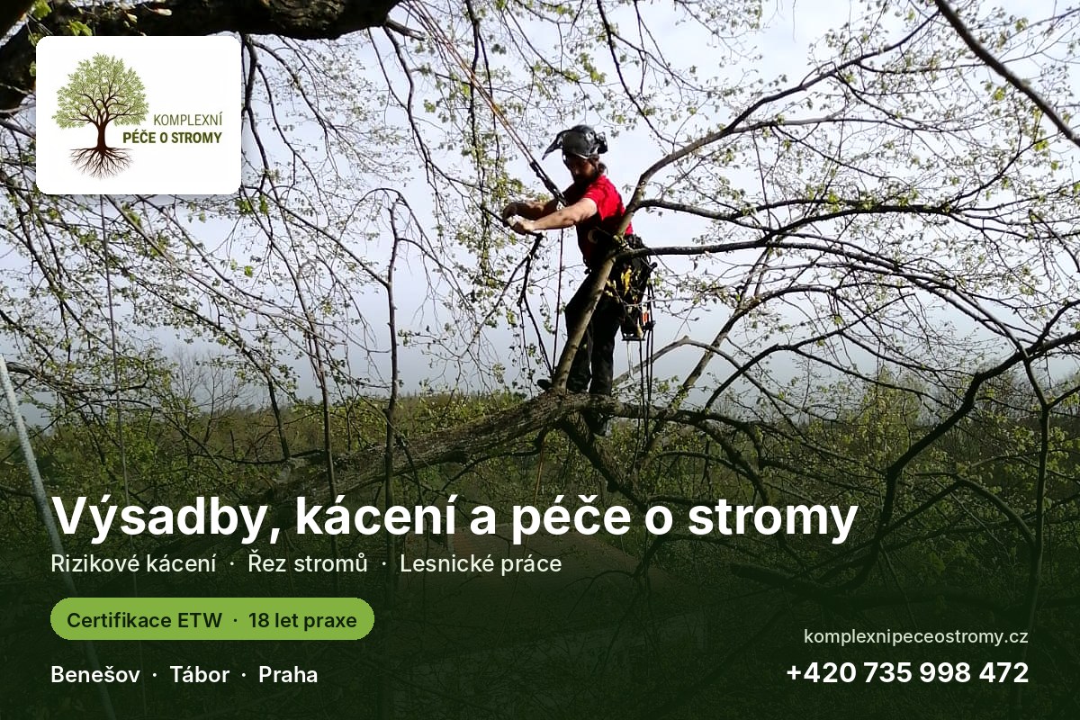 Komplexní péče o stromy foto 1