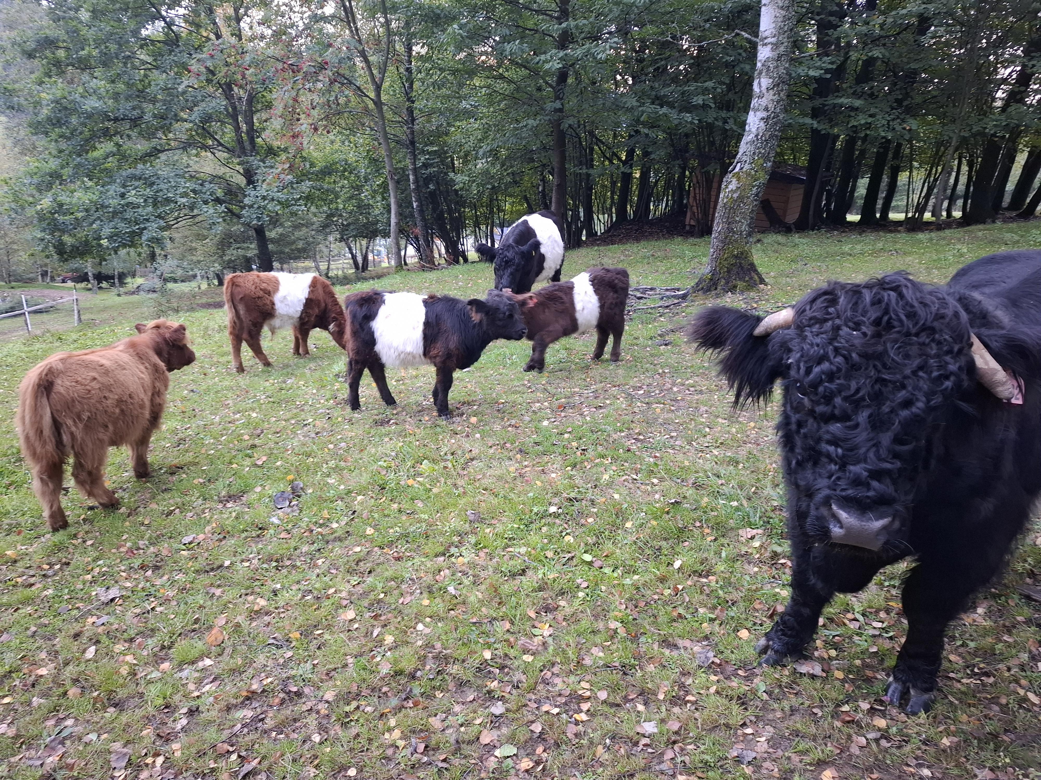 Chalupa na Bečvách foto 3