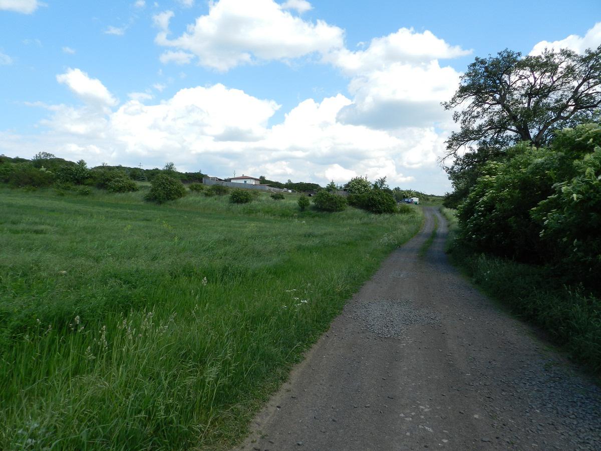 Český kynologický svaz ZKO Zabrušany - 658 foto 1