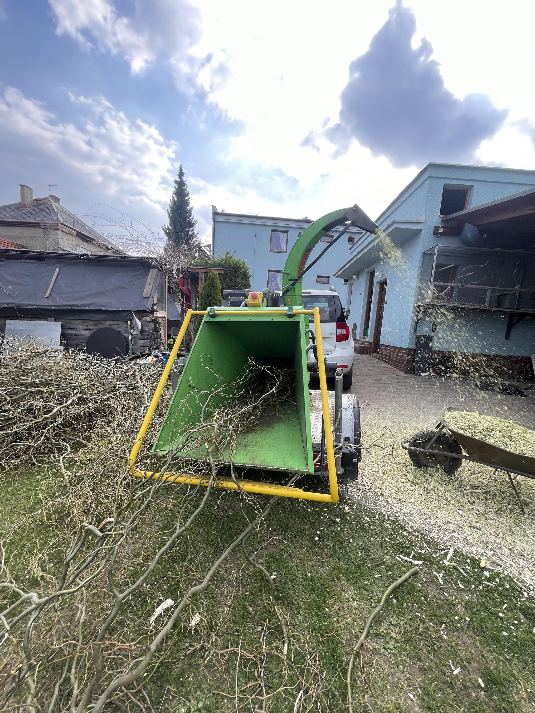 Dřevík foto 2