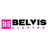 logo Belvis expert