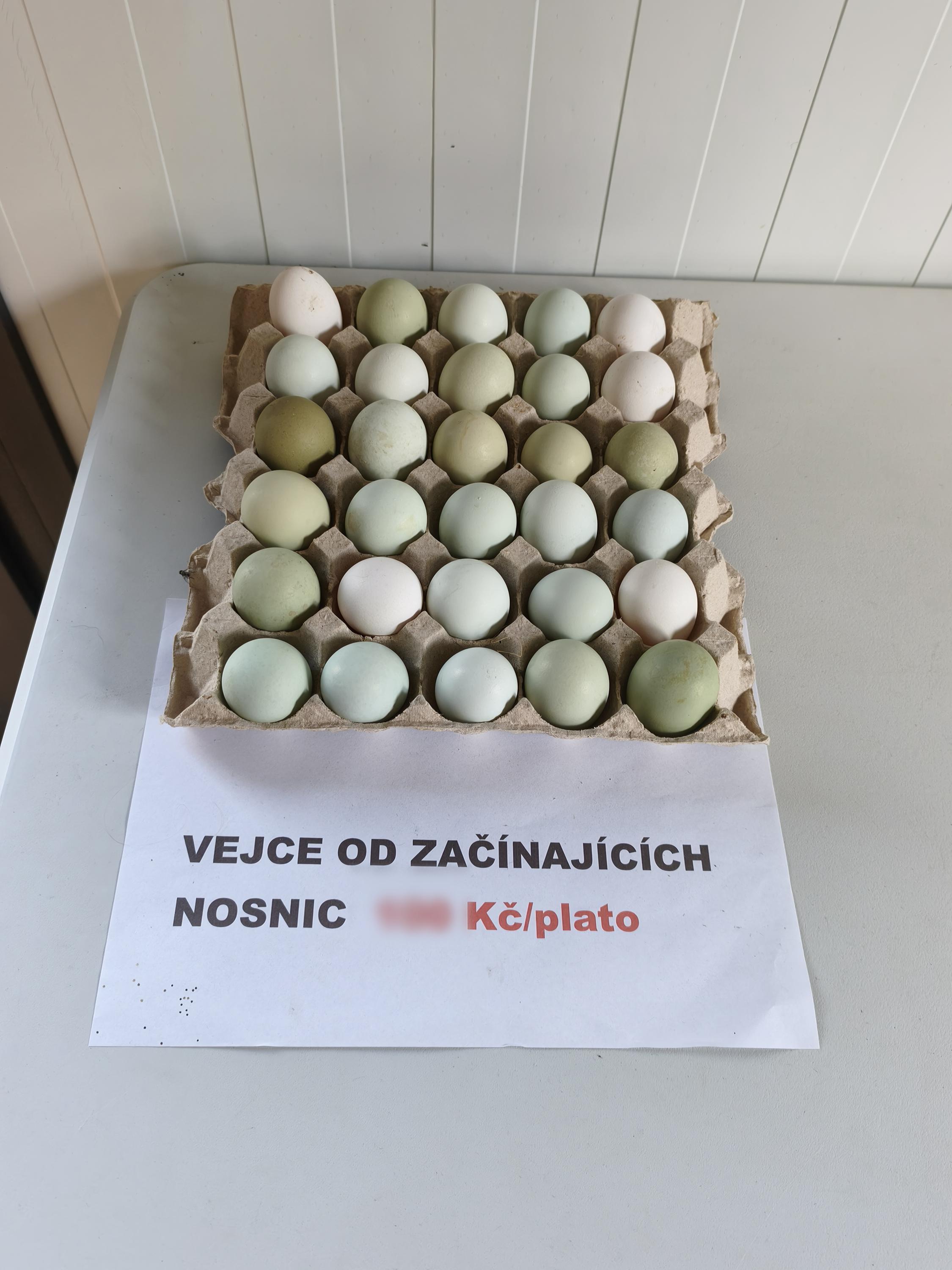 Statek Velká Šitboř - prodej vajec foto 2