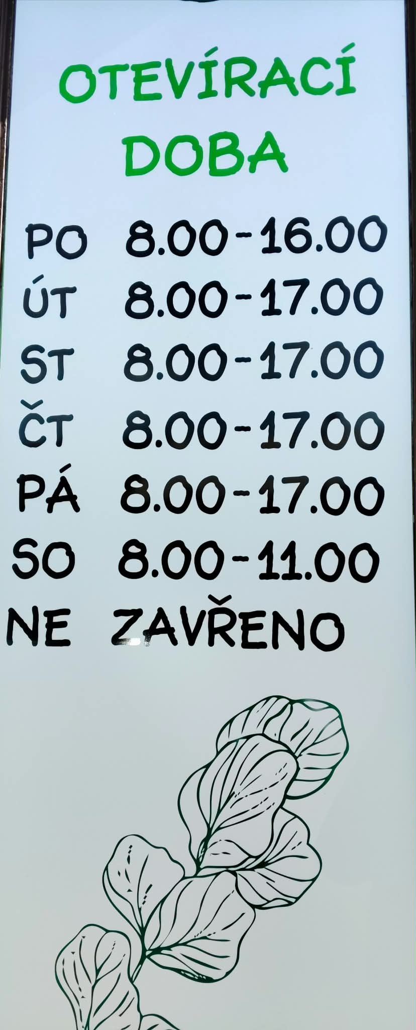 Květiny Šafránková foto 4