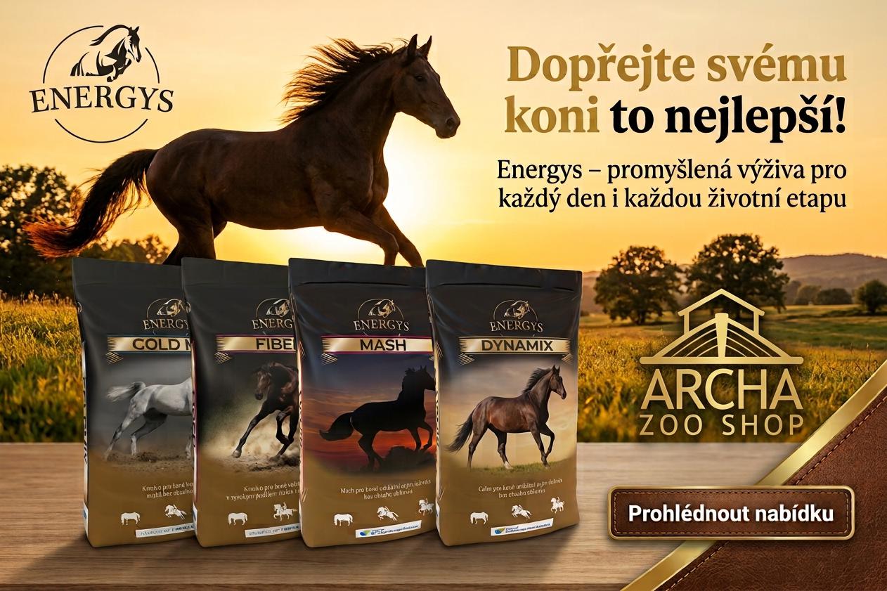 Energys_koně_premium